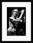 Iggy Pop and The Stooges (1) by Karen Toftera